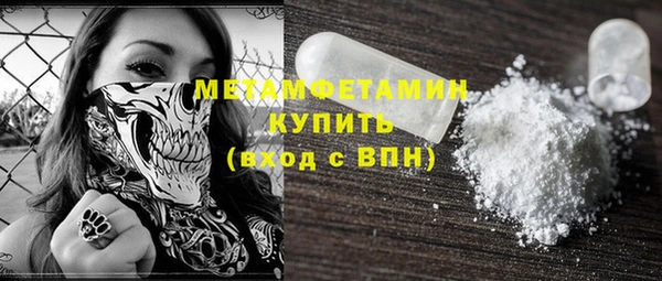 мет Алексин