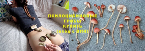 мяу мяу мука Алзамай