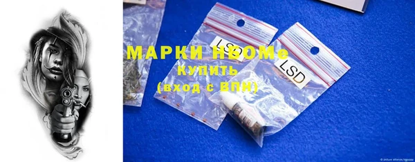 мет Алексин