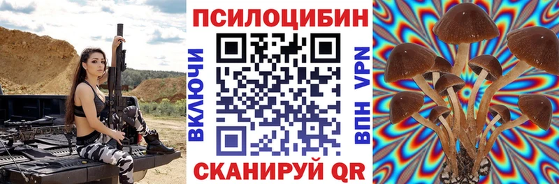 хочу   Николаевск-на-Амуре  Галлюциногенные грибы ЛСД 