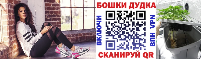 Конопля марихуана  Николаевск-на-Амуре 